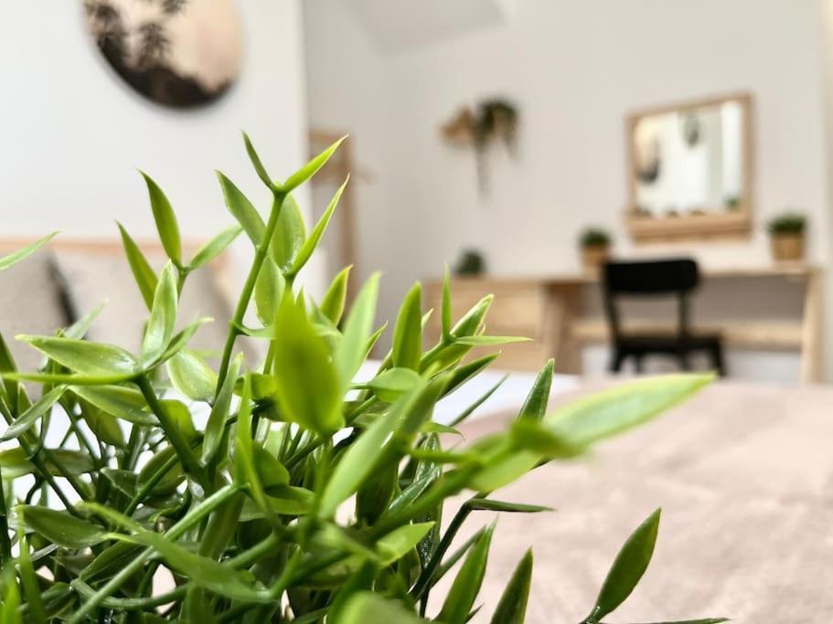 Apartamento Vive Zaragoza V Ngoại thất bức ảnh